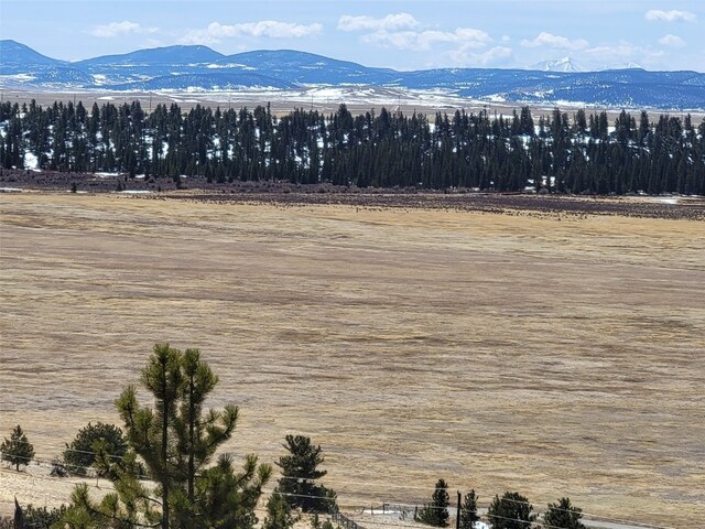 337 Redhill Rd, Fairplay, CO 80440 - photo 10