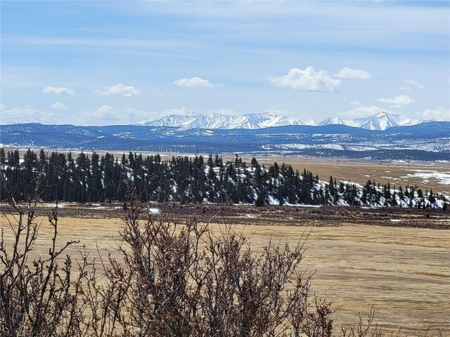 337 Redhill Rd, Fairplay, CO 80440 - photo 9