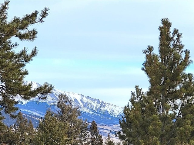 337 Redhill Rd, Fairplay, CO 80440 - photo 33