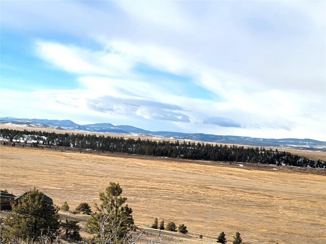 337 Redhill Rd, Fairplay, CO 80440 - photo 22