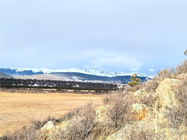 337 Redhill Rd, Fairplay, CO 80440 - photo 28