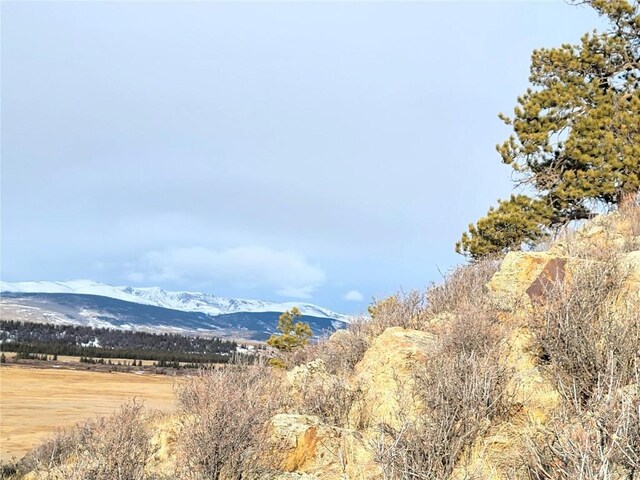 337 Redhill Rd, Fairplay, CO 80440 - photo 1