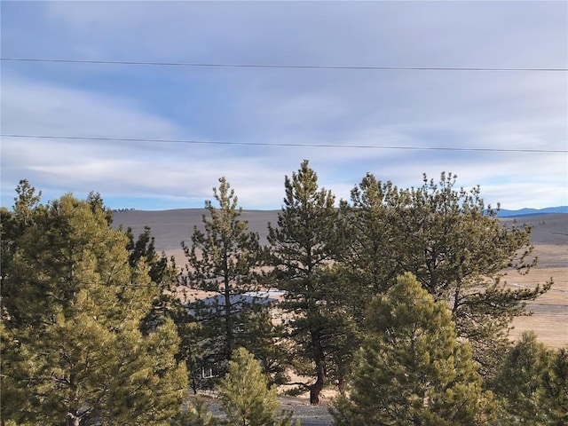 337 Redhill Rd, Fairplay, CO 80440 - photo 20