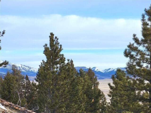 337 Redhill Rd, Fairplay, CO 80440 - photo 31