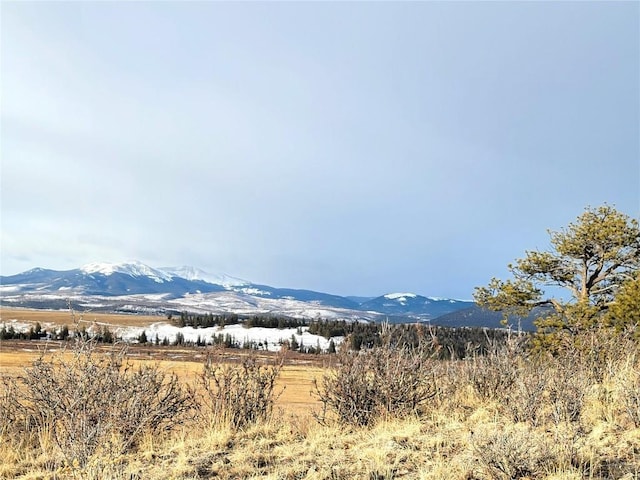 337 Redhill Rd, Fairplay, CO 80440 - photo 21