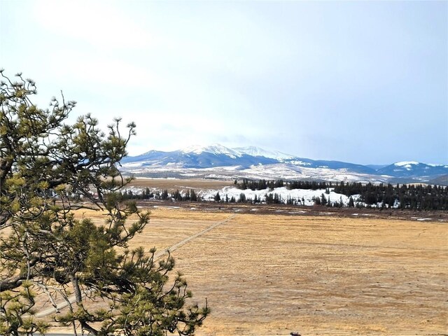 337 Redhill Rd, Fairplay, CO 80440 - photo 29