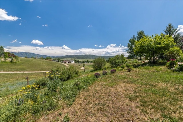 27497 Silver Spur St, Steamboat Springs, CO 80487 - photo 43