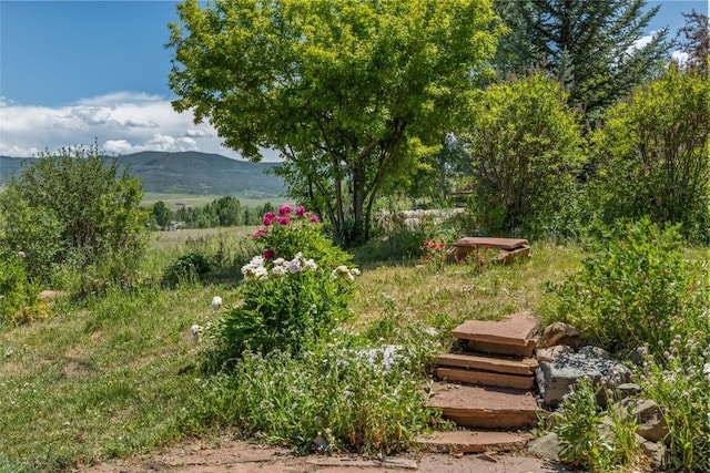 27497 Silver Spur St, Steamboat Springs, CO 80487 - photo 45