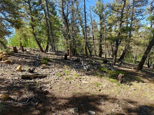 LOT223 Middle Fork Vis, Fairplay, CO 80440