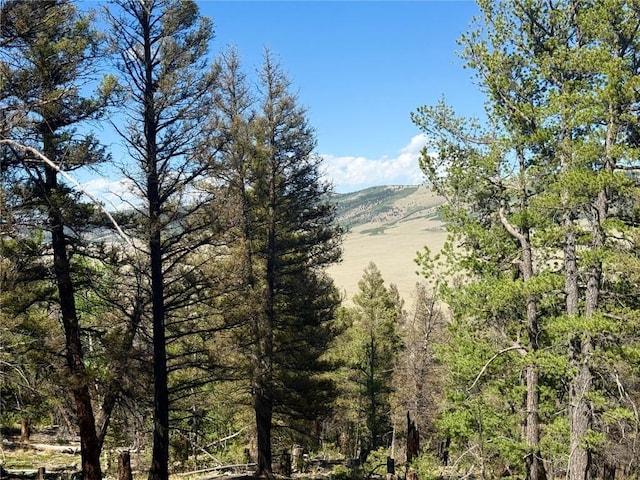 LOT223 Middle Fork Vis, Fairplay, CO 80440