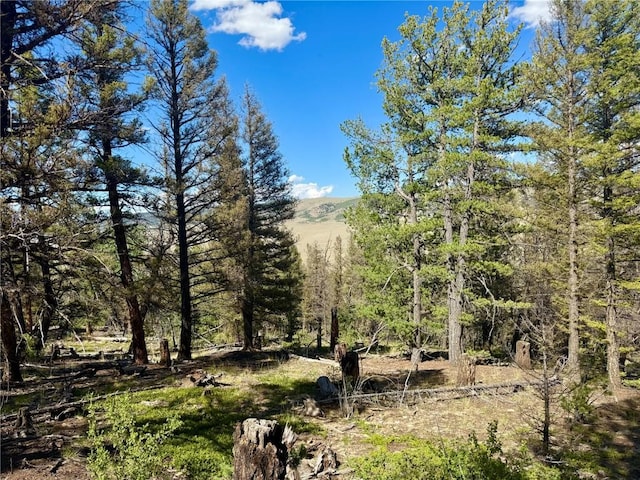 LOT223 Middle Fork Vis, Fairplay, CO 80440
