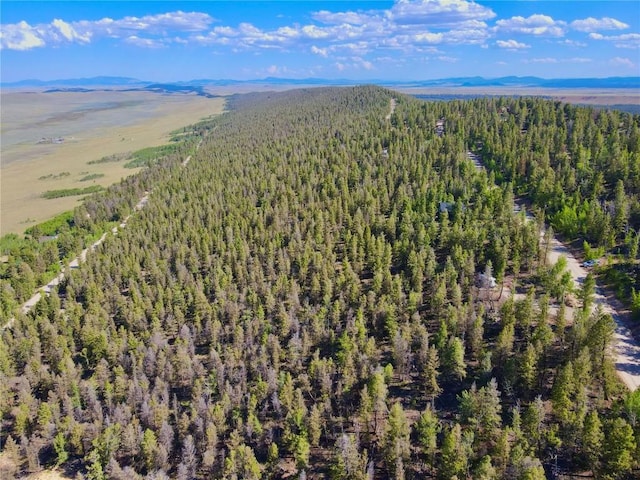 LOT223 Middle Fork Vis, Fairplay, CO 80440