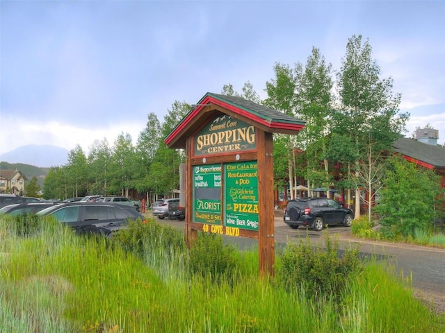 100 Cove Blvd Unit F, Dillon, CO 80435 - exterior view of a mountain backdrop
