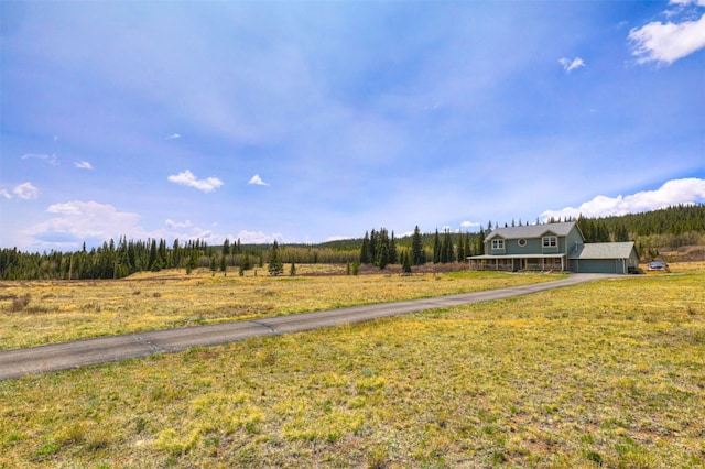 261 County Road 6, Alma, CO 80420 - photo 35