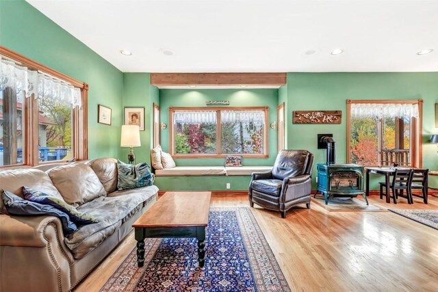 living room with hardwood / wood-style flooring, a wood stove, and a wealth of natural light