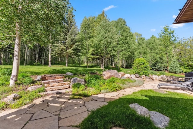 50 Vierling Way, Frisco, CO 80443 - photo 47