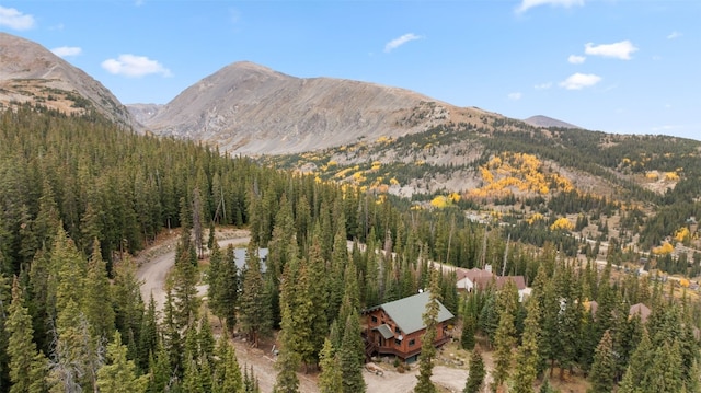 view of mountain feature with a wooded view