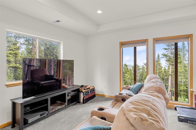 1576 Bobcat Ln, Fairplay, CO 80440 - living room with carpet flooring, plenty of natural light, and recessed lighting