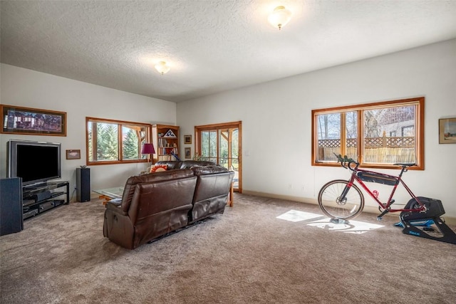 40870 Purple Sage St, Steamboat Springs, CO 80487 - living area with carpet floors, a textured ceiling, and baseboards