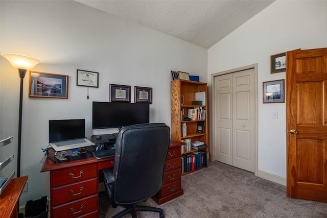40870 Purple Sage St, Steamboat Springs, CO 80487 - carpeted home office featuring lofted ceiling and baseboards