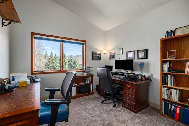 40870 Purple Sage St, Steamboat Springs, CO 80487 - office space featuring vaulted ceiling, carpet, and baseboards