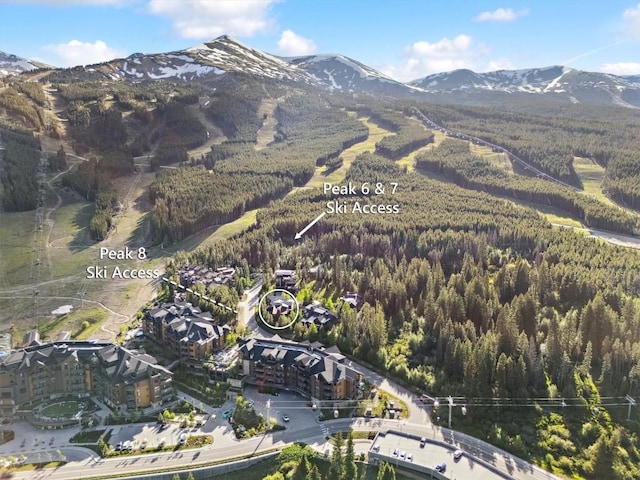 19 Peak 8 Ct, Breckenridge, CO 80424 - aerial view of property's location with mountains
