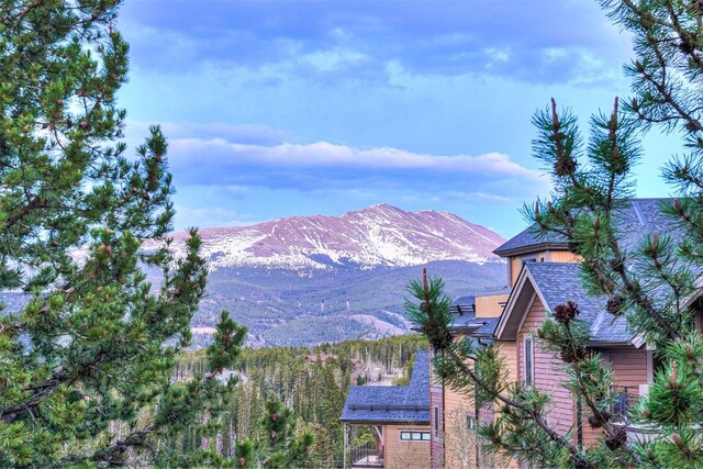 19 Peak 8 Ct, Breckenridge, CO 80424 - mountain view