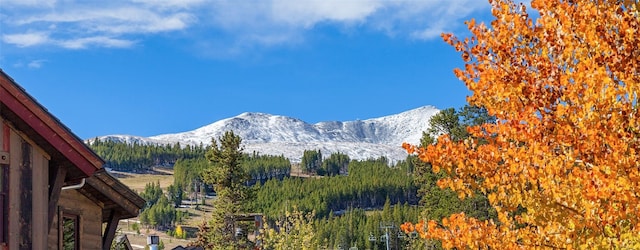 19 Peak 8 Ct, Breckenridge, CO 80424 - mountain view