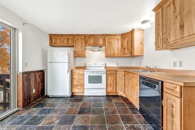 244 Harvest Dr Unit 244, Hayden, CO 81639 - kitchen featuring stone tile floors, under cabinet range hood, a sink, white appliances, and a wealth of natural light