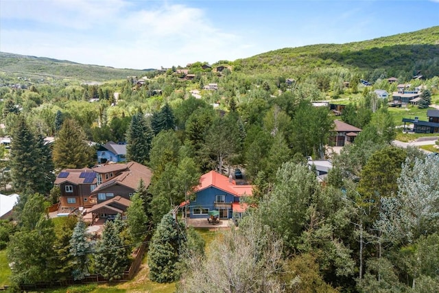 862 Douglas St, Steamboat Springs, CO 80487 - aerial view of a forest and a mountainous background