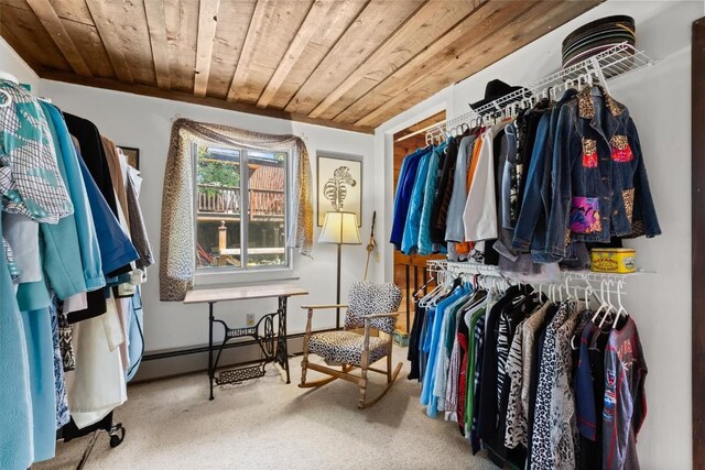 862 Douglas St, Steamboat Springs, CO 80487 - spacious closet with carpet floors and baseboard heating