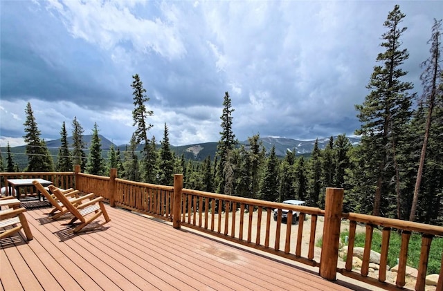 207 Pine Cone Way, Fairplay, CO 80440 - photo 2