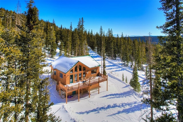 207 Pine Cone Way, Fairplay, CO 80440 - photo 31