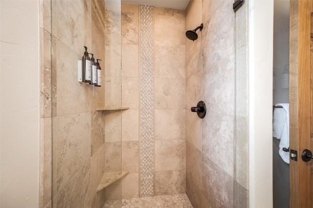 1463 Flattop Cir Unit 302, Steamboat Springs, CO 80487 - bathroom with a stall shower