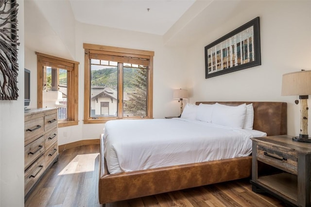 1463 Flattop Cir Unit 302, Steamboat Springs, CO 80487 - bedroom featuring dark wood-style floors and baseboards
