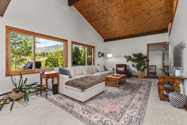 1430 Blue Spruce Ct, Steamboat Springs, CO 80487 - photo 12