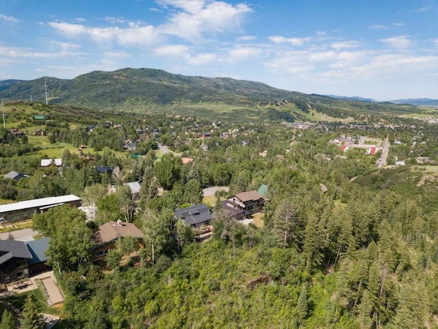 1430 Blue Spruce Ct, Steamboat Springs, CO 80487 - photo 44