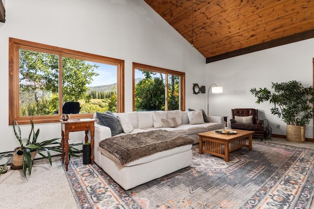 1430 Blue Spruce Ct, Steamboat Springs, CO 80487 - photo 22