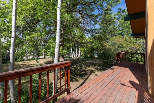 1430 Blue Spruce Ct, Steamboat Springs, CO 80487 - photo 37