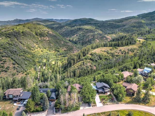 1430 Blue Spruce Ct, Steamboat Springs, CO 80487 - photo 2