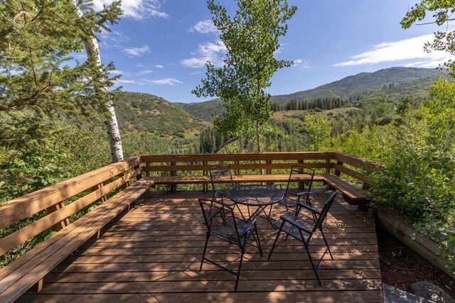 1430 Blue Spruce Ct, Steamboat Springs, CO 80487 - photo 41