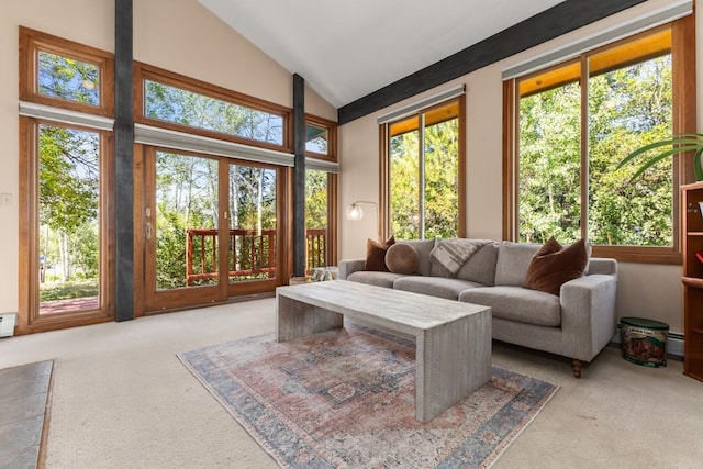 1430 Blue Spruce Ct, Steamboat Springs, CO 80487 - photo 4