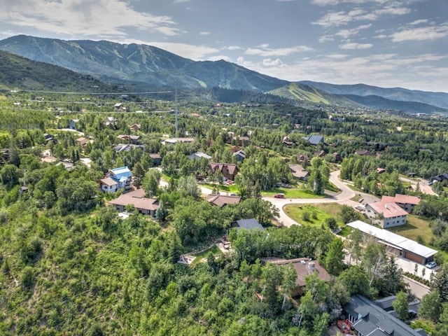 1430 Blue Spruce Ct, Steamboat Springs, CO 80487 - photo 42
