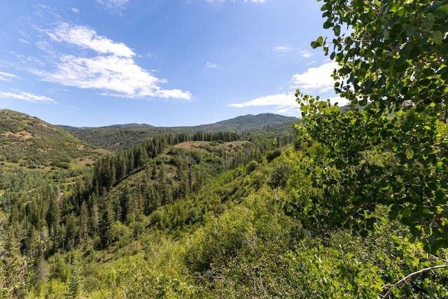 1430 Blue Spruce Ct, Steamboat Springs, CO 80487 - photo 46