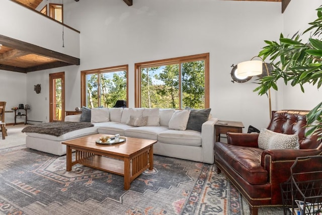1430 Blue Spruce Ct, Steamboat Springs, CO 80487 - photo 6