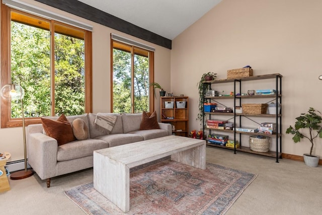 1430 Blue Spruce Ct, Steamboat Springs, CO 80487 - photo 27