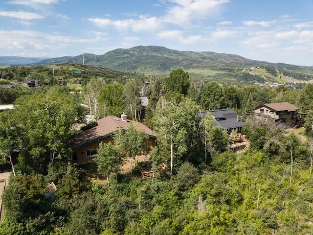 1430 Blue Spruce Ct, Steamboat Springs, CO 80487 - photo 43