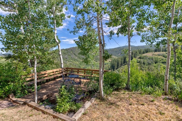 1430 Blue Spruce Ct, Steamboat Springs, CO 80487 - photo 19