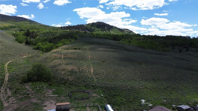 1346 Rainbow Dr, Silverthorne, CO 80498 - mountain view featuring a heavily wooded area