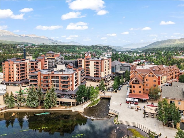 645 S Park Ave Unit 305, Breckenridge, CO 80424 - photo 26